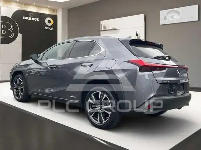 2021 Lexus UX