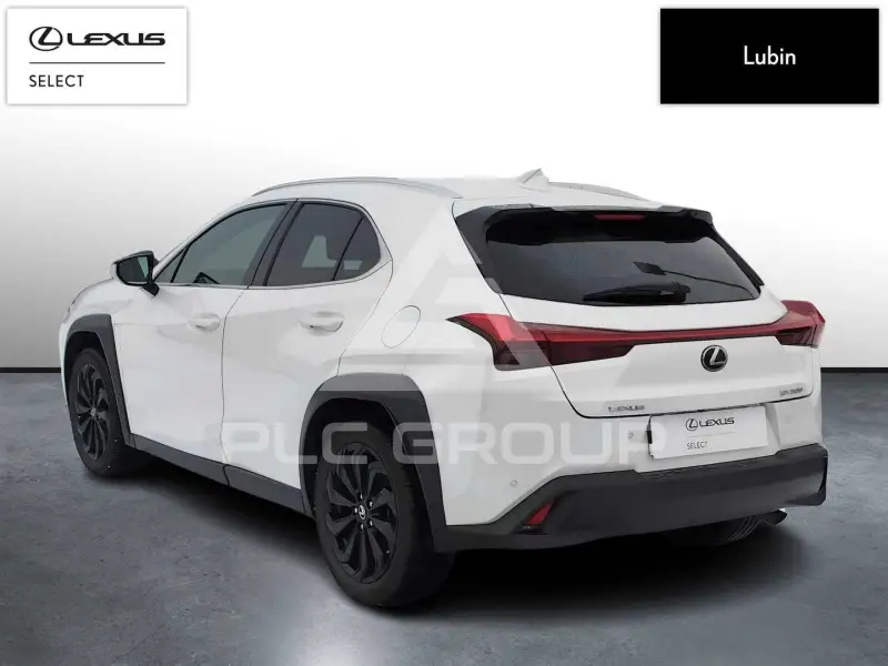 2021 Lexus UX