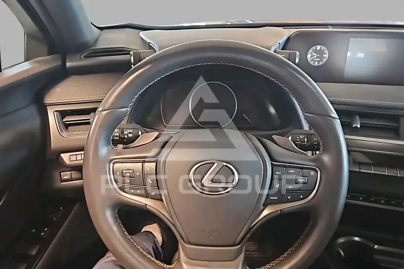 2021 Lexus UX