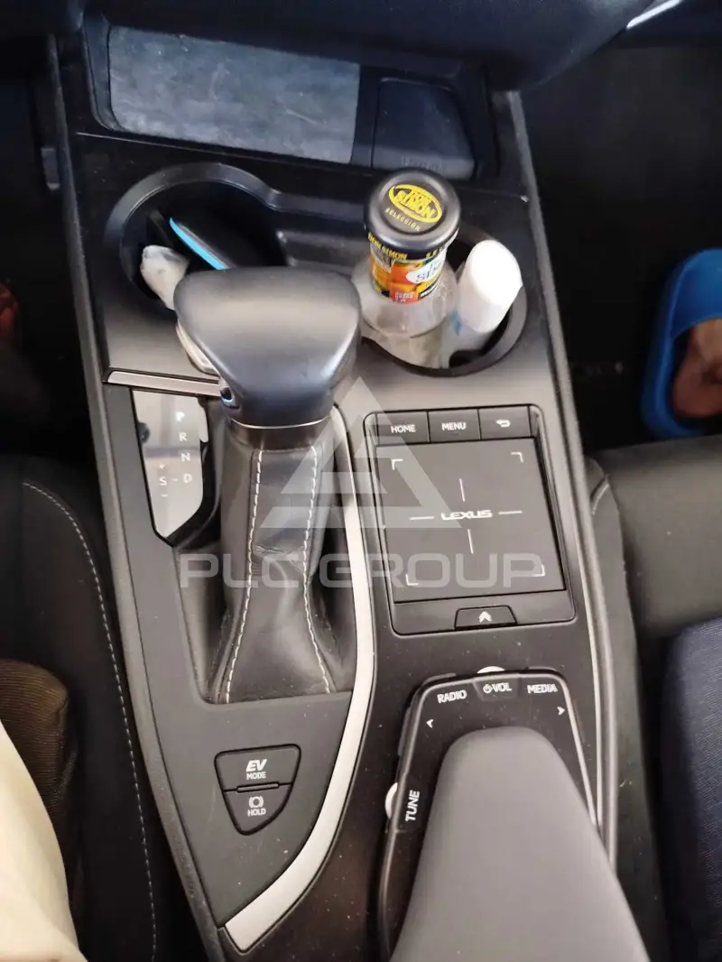 2021 Lexus UX