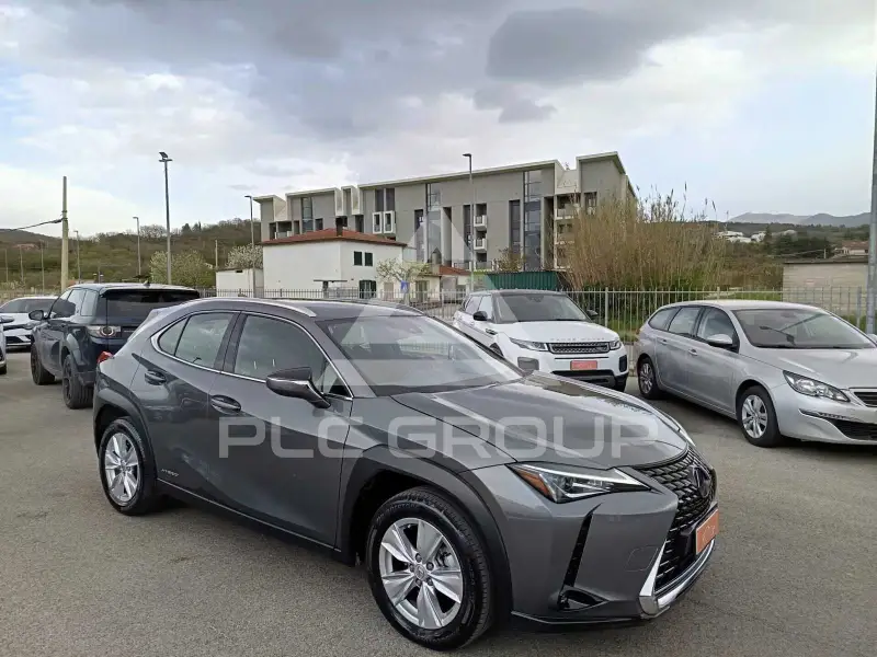 2021 Lexus UX