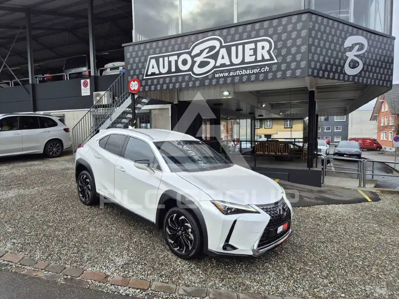 2021 Lexus UX