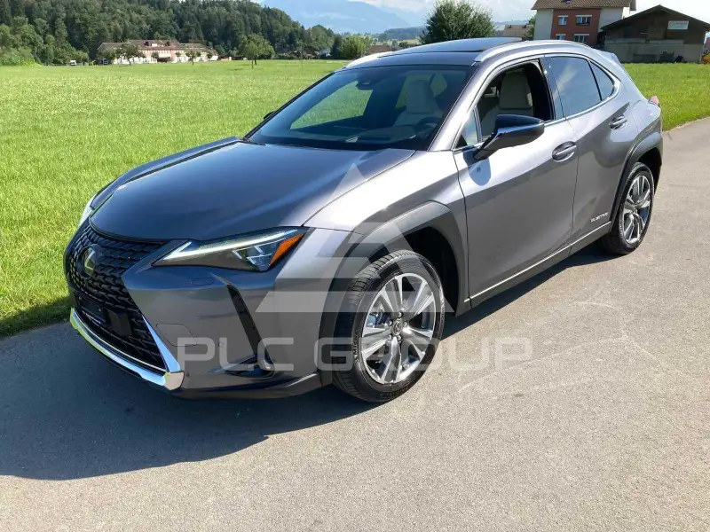 2021 Lexus UX