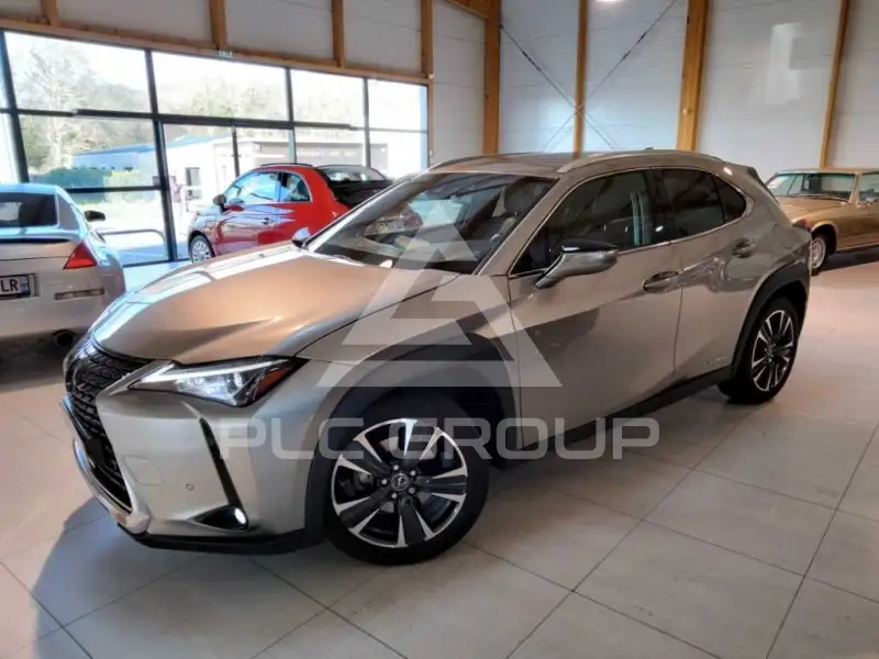 2021 Lexus UX