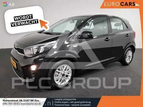 2021 KIA Picanto