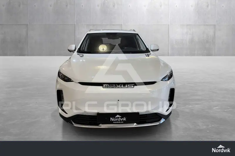 2021 Maxus D60