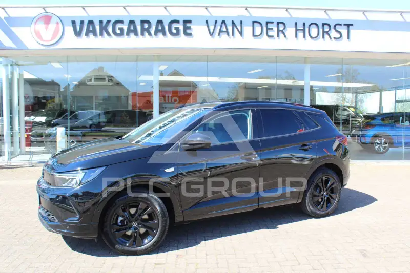 2021 Opel GrandlandX