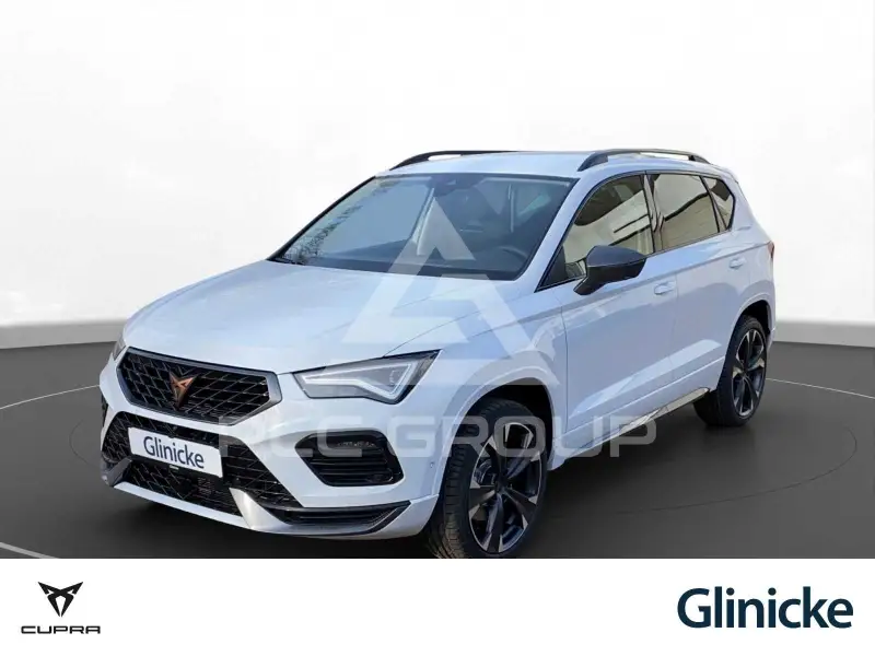 2022 Cupra Other