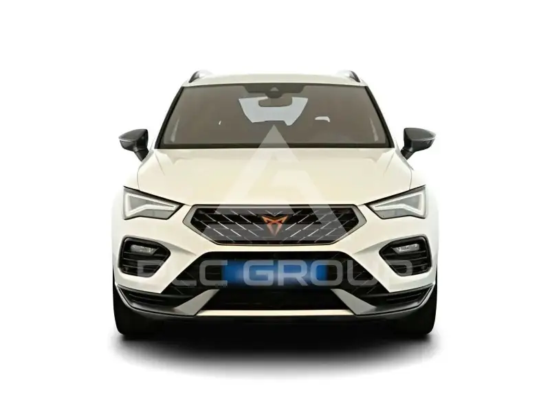2022 Cupra Other