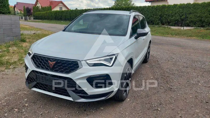 2022 Cupra Other