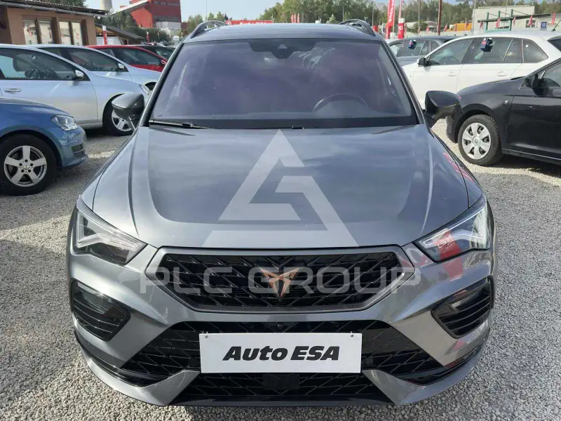 2022 Cupra Other