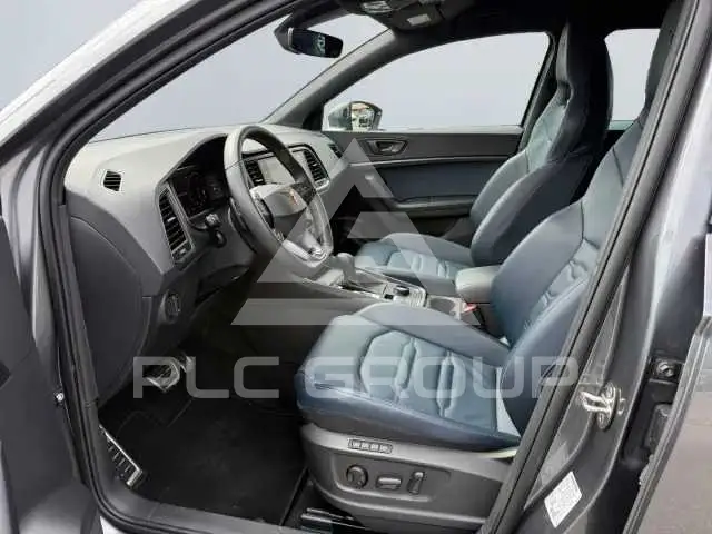 2022 Cupra Other