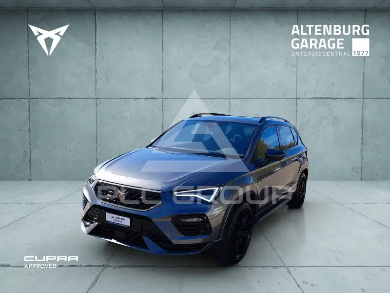 2022 Cupra Other