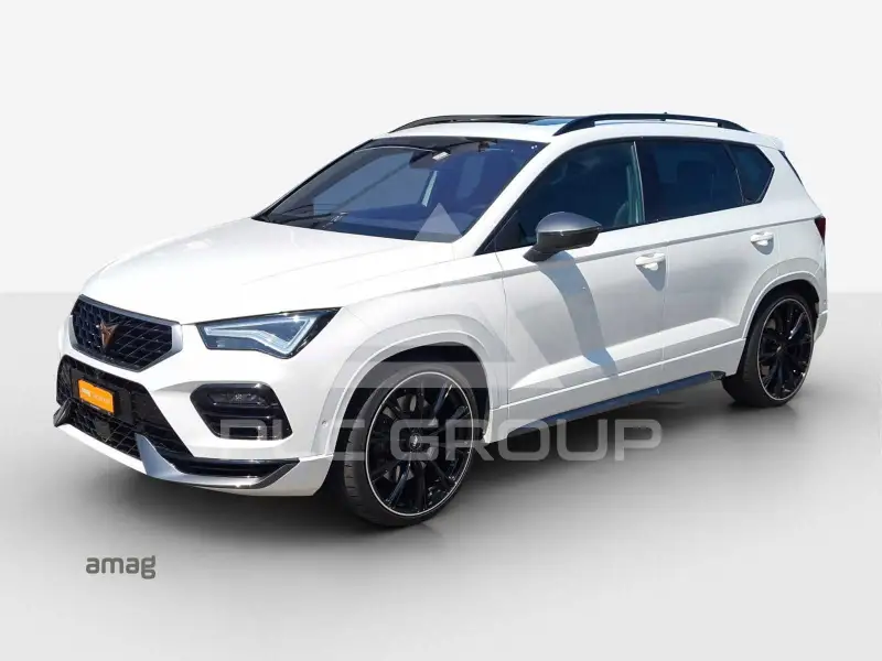 2022 Cupra Other