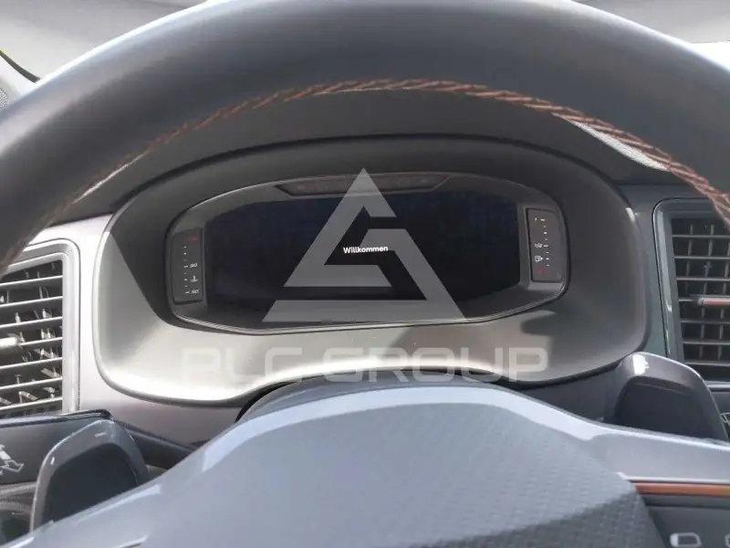 2022 Cupra Other