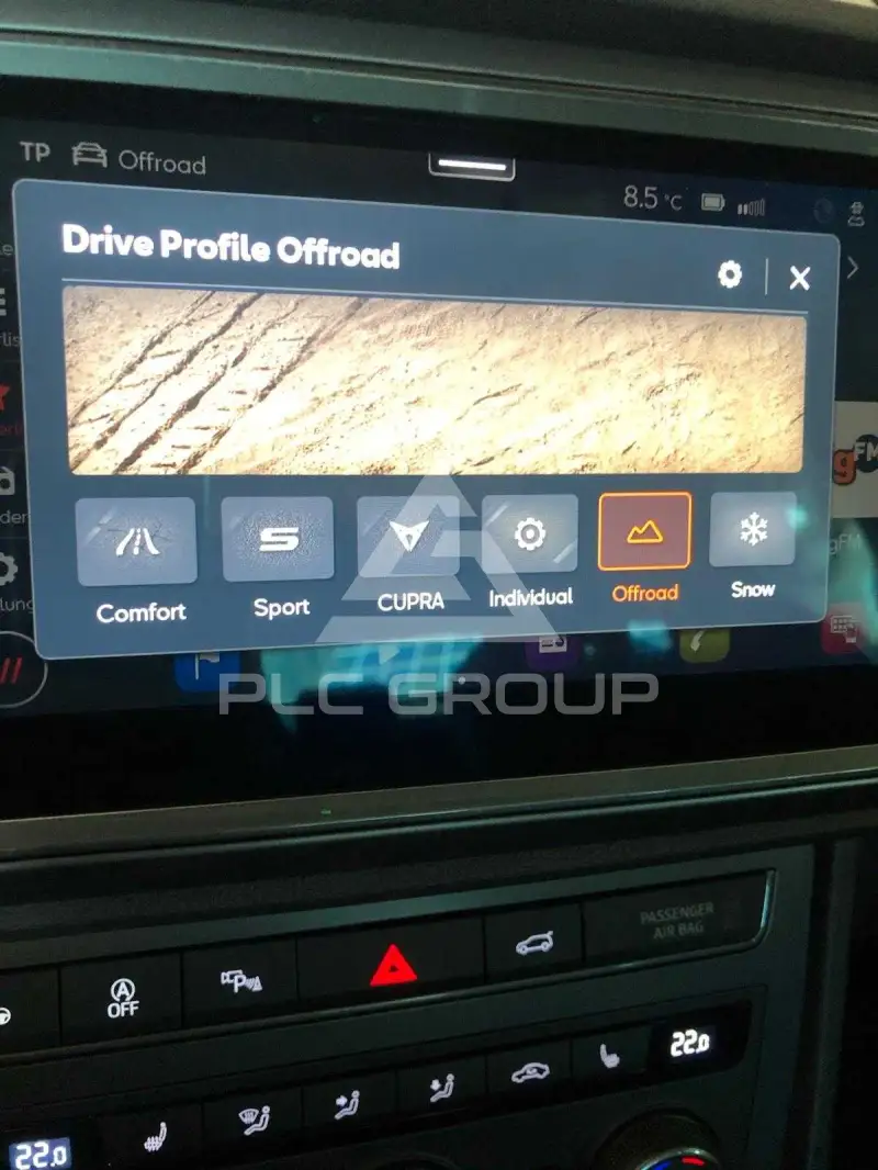 2022 Cupra Other