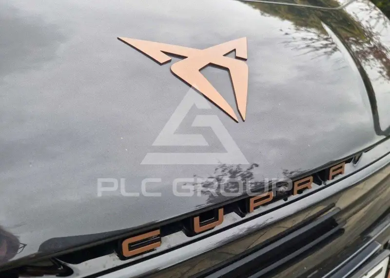 2022 Cupra Born