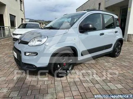 2022 Fiat Panda