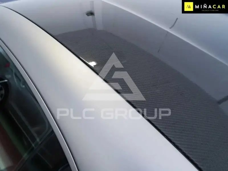 2022 Alpina A110