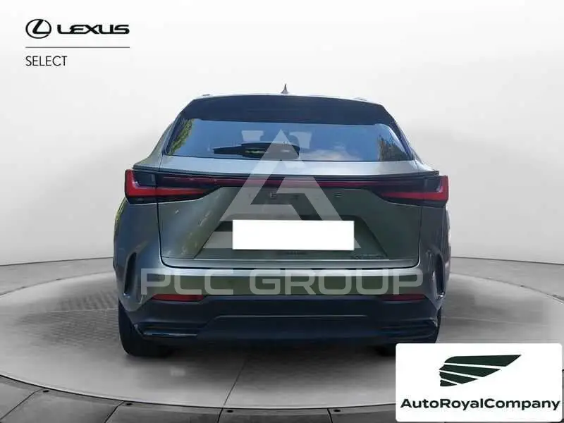 2022 Lexus NX