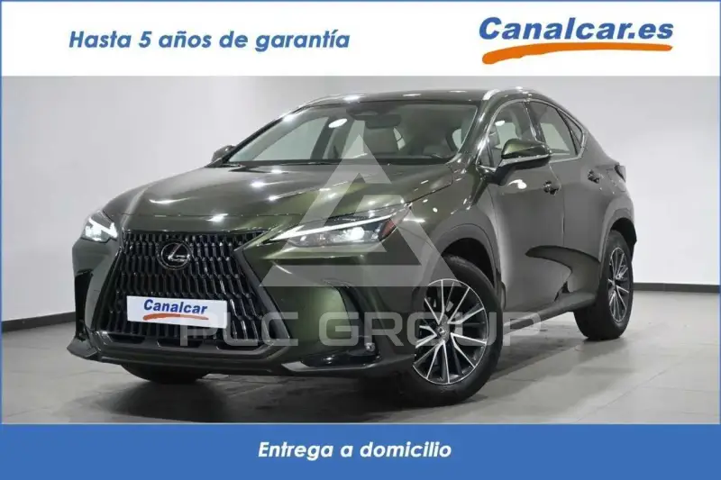2022 Lexus NX
