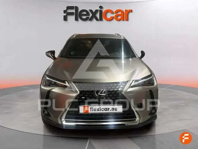 2022 Lexus UX