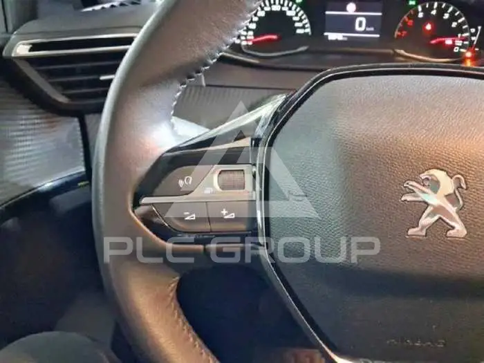 2022 Peugeot 208