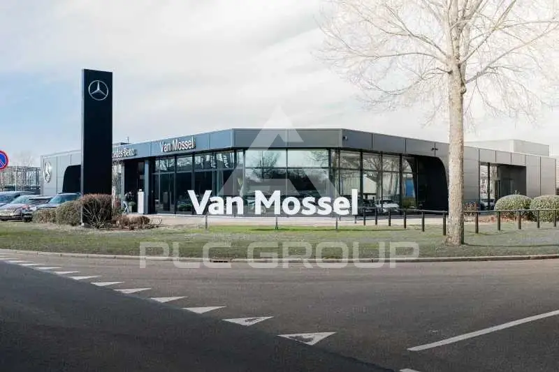 2022 Mercedes Benz B-Class