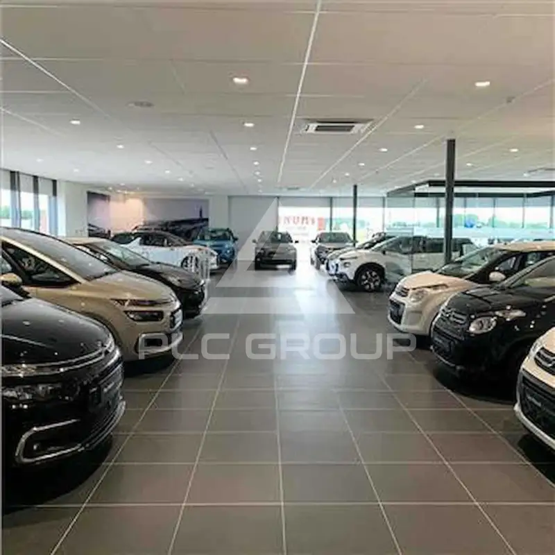2022 Citroen C5