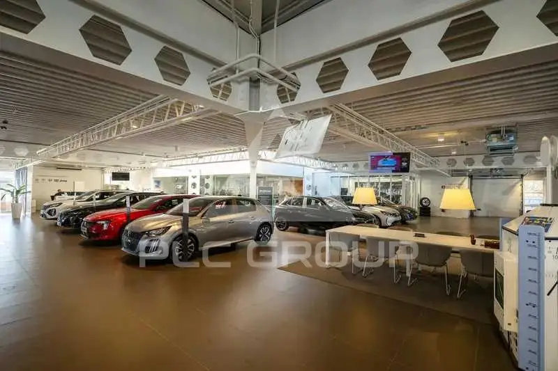2022 Citroen C5
