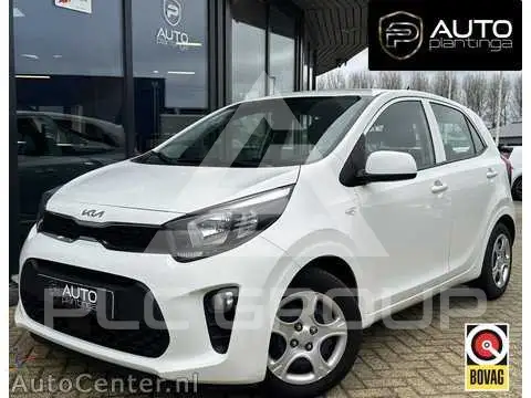 2022 KIA Picanto