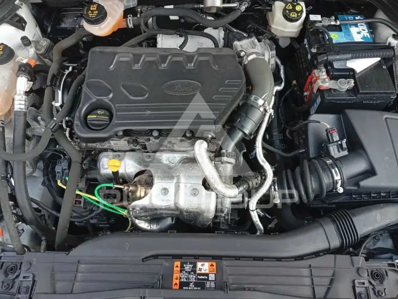 2022 Ford FOCUS