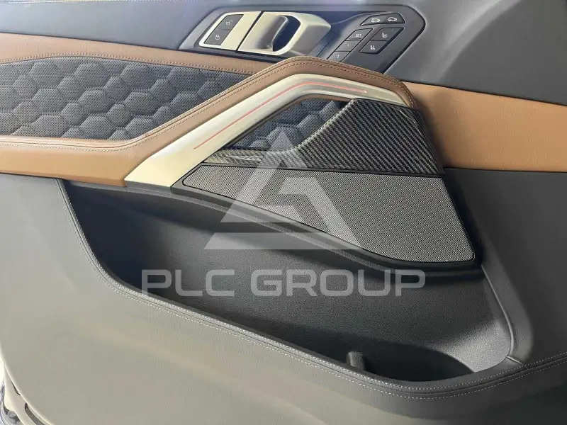 2023 BMW X6