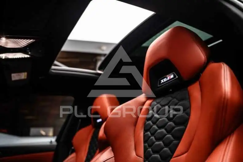 2023 BMW X6