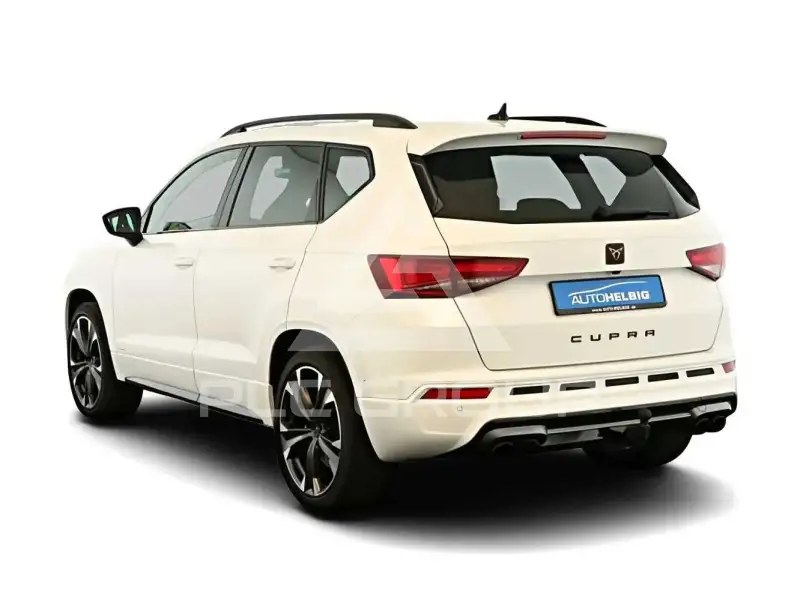 2023 Cupra Other