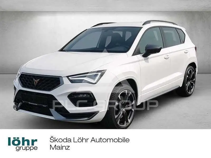 2023 Cupra Other