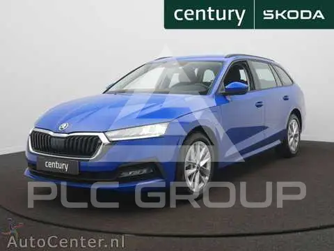 2023 Skoda Octavia