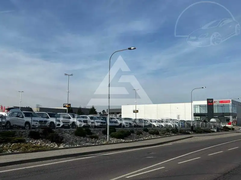 2023 Skoda Octavia