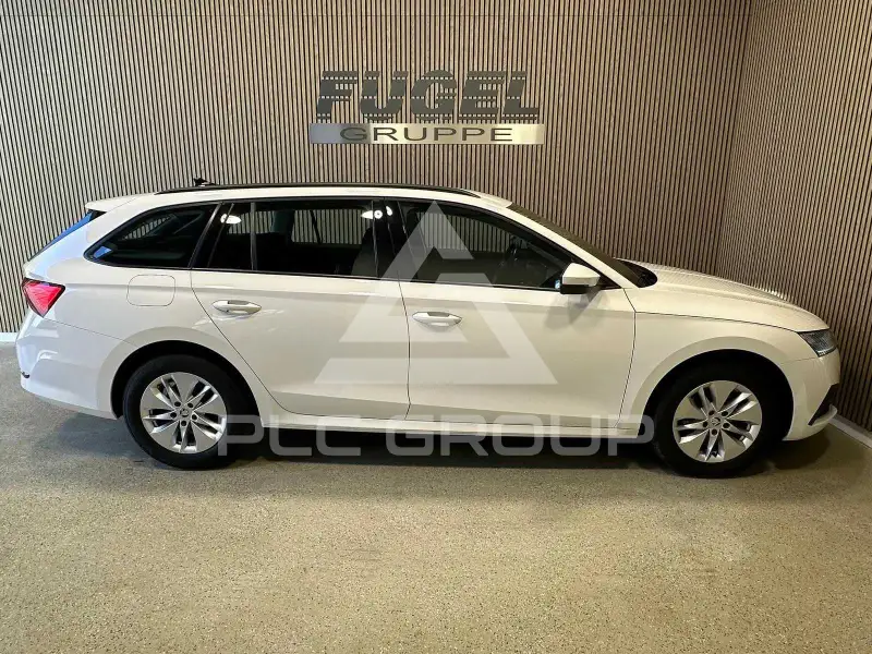 2023 Skoda Octavia