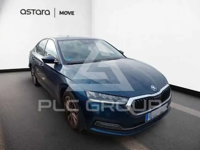 2023 Skoda Octavia