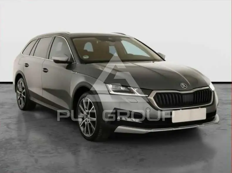 2023 Skoda Octavia