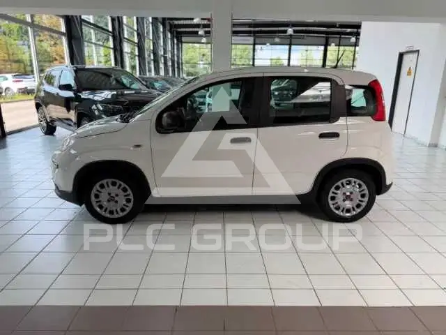 2023 Fiat Panda