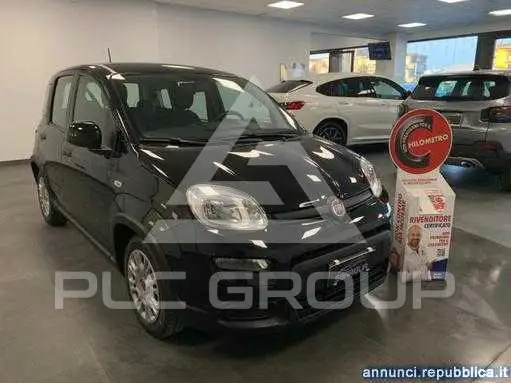 2023 Fiat Panda