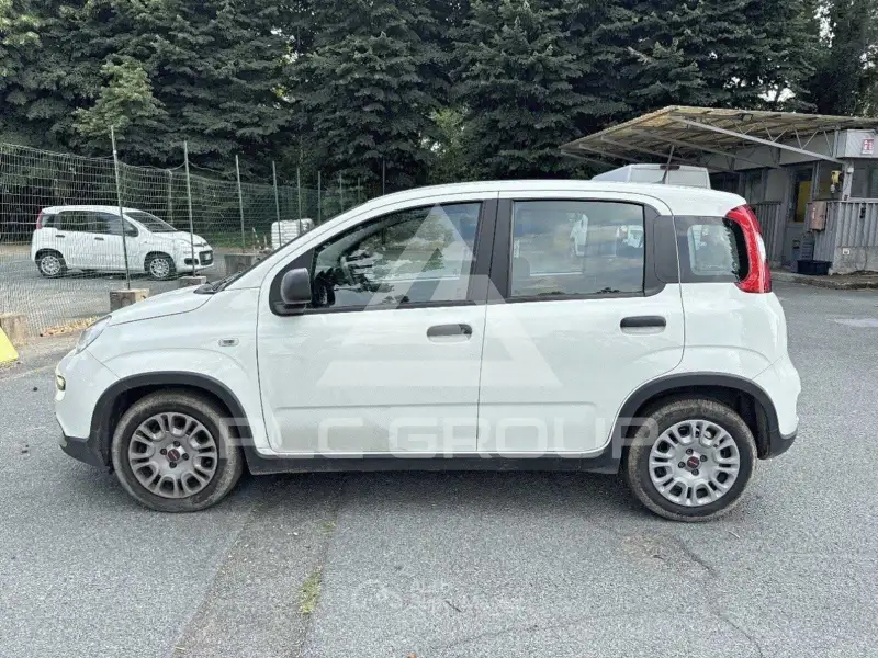 2023 Fiat Panda