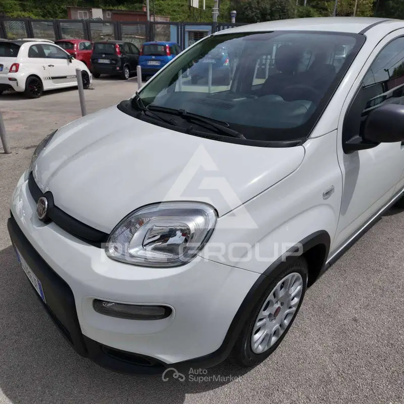 2023 Fiat Panda