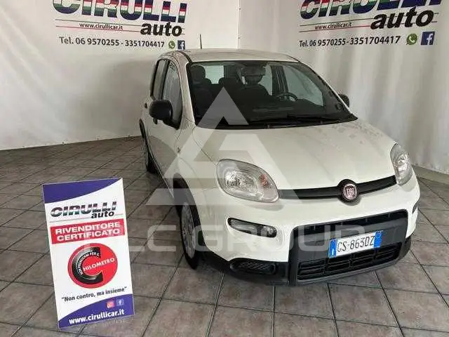 2023 Fiat Panda