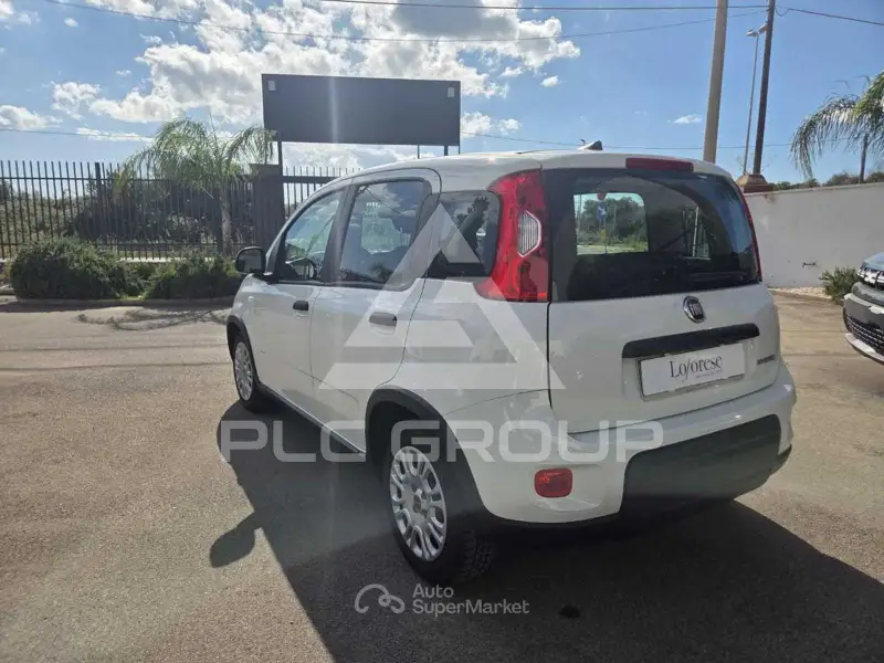 2023 Fiat Panda