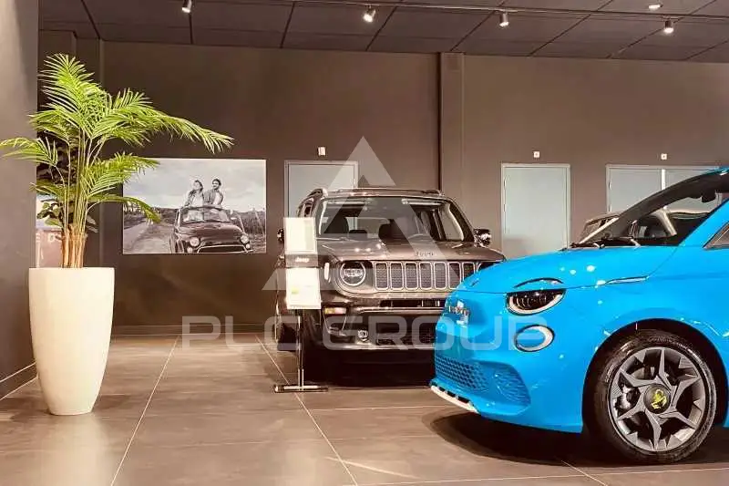 2023 Fiat 500