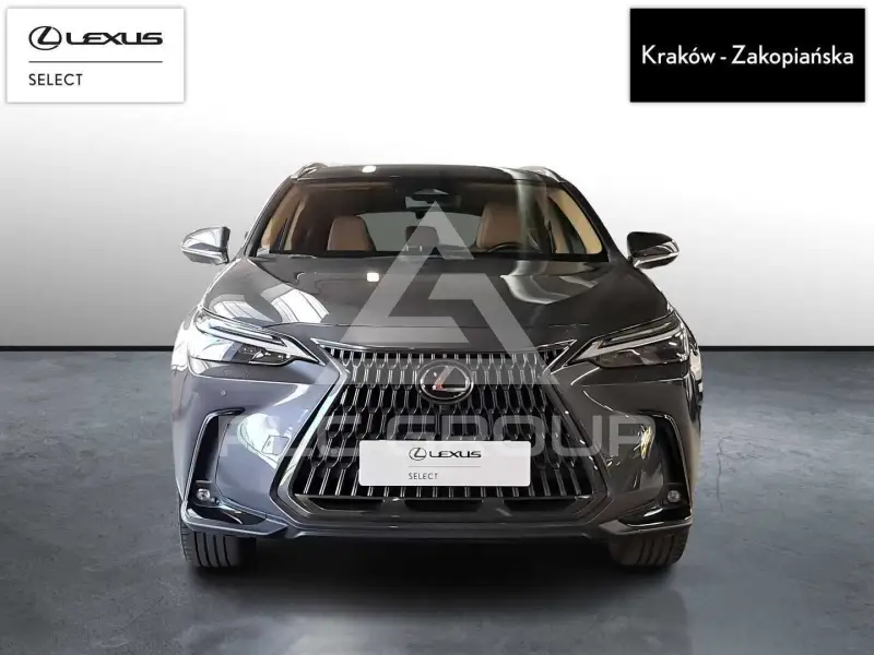 2023 Lexus NX