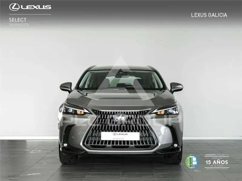 2023 Lexus NX
